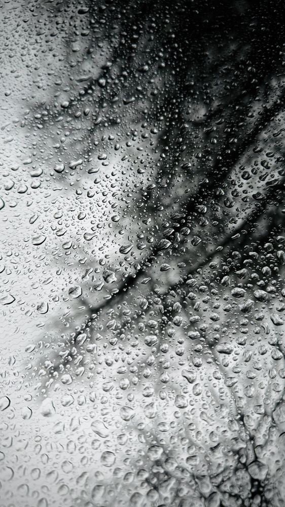 Photograph by Oxana Petlina