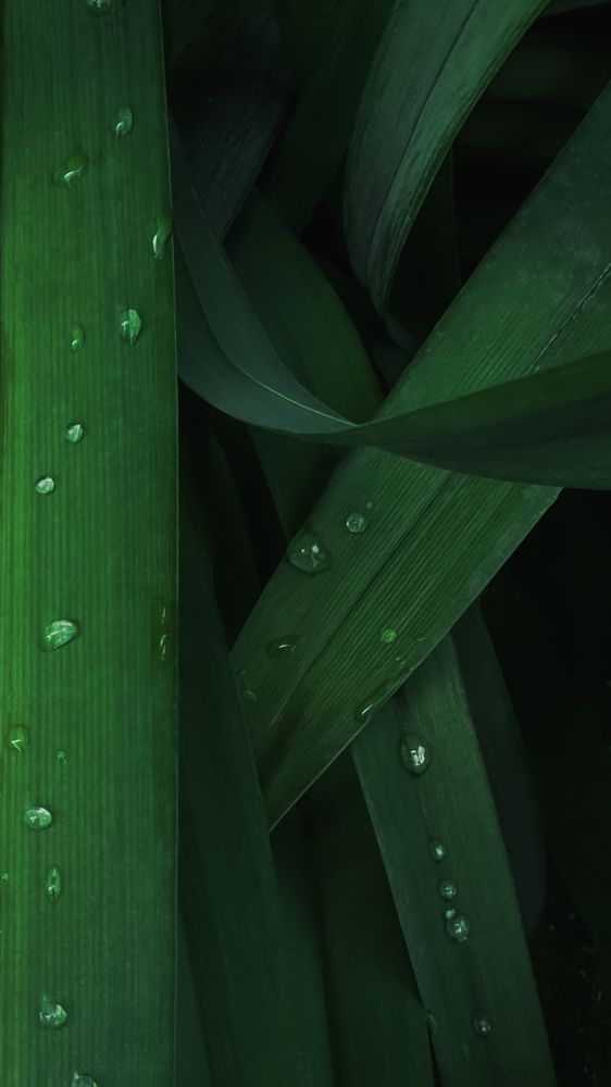 Photograph by Oxana Petlina