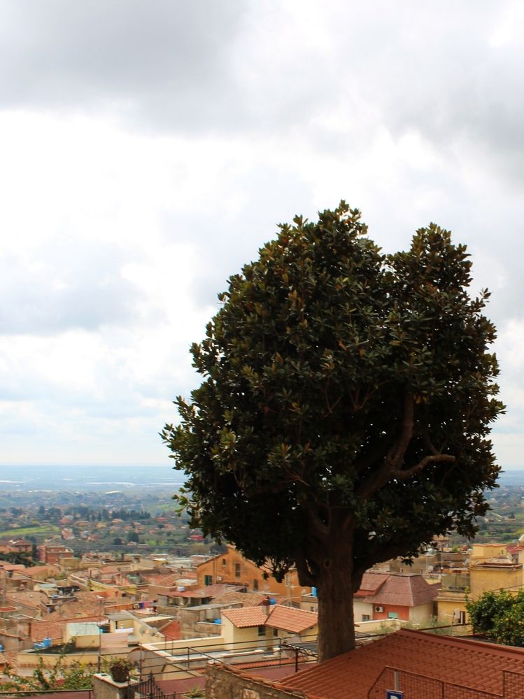 Photograph by Irina Shishkina