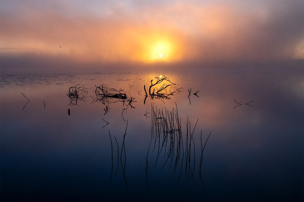 Photograph by Kaiser Sozo