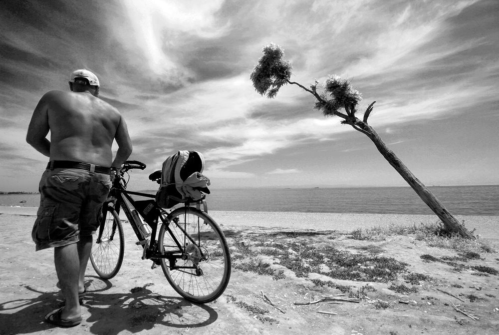 Фотография автора Ghadir Vaghari