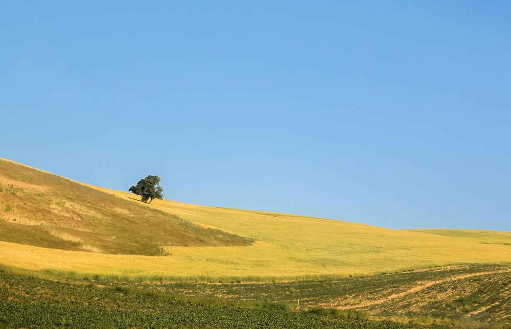 Фотография автора Ghadir Vaghari