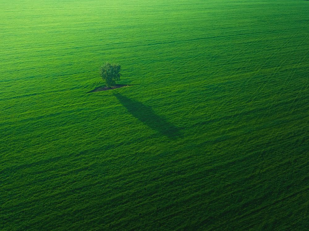 Photograph by Брытков Николай