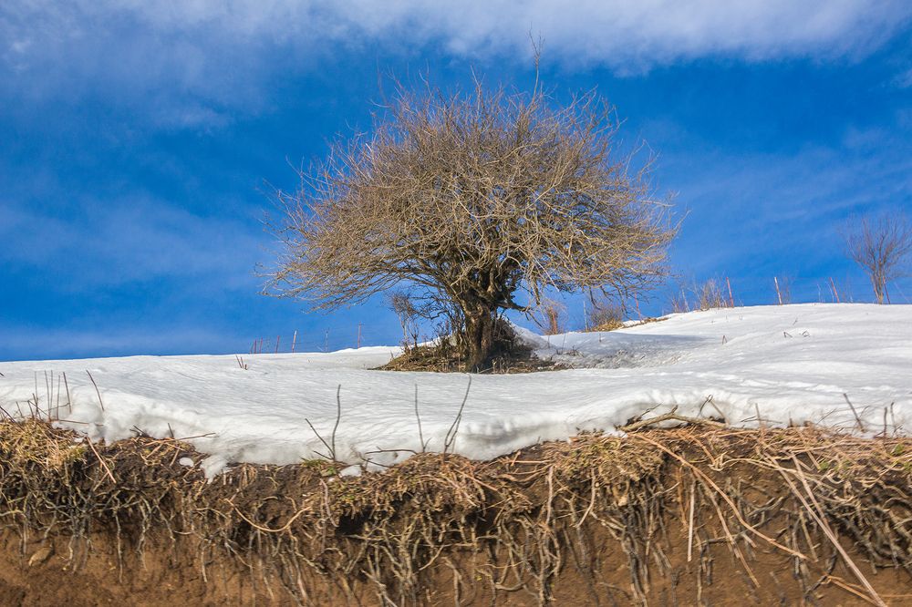 Фотография автора Ghadir Vaghari