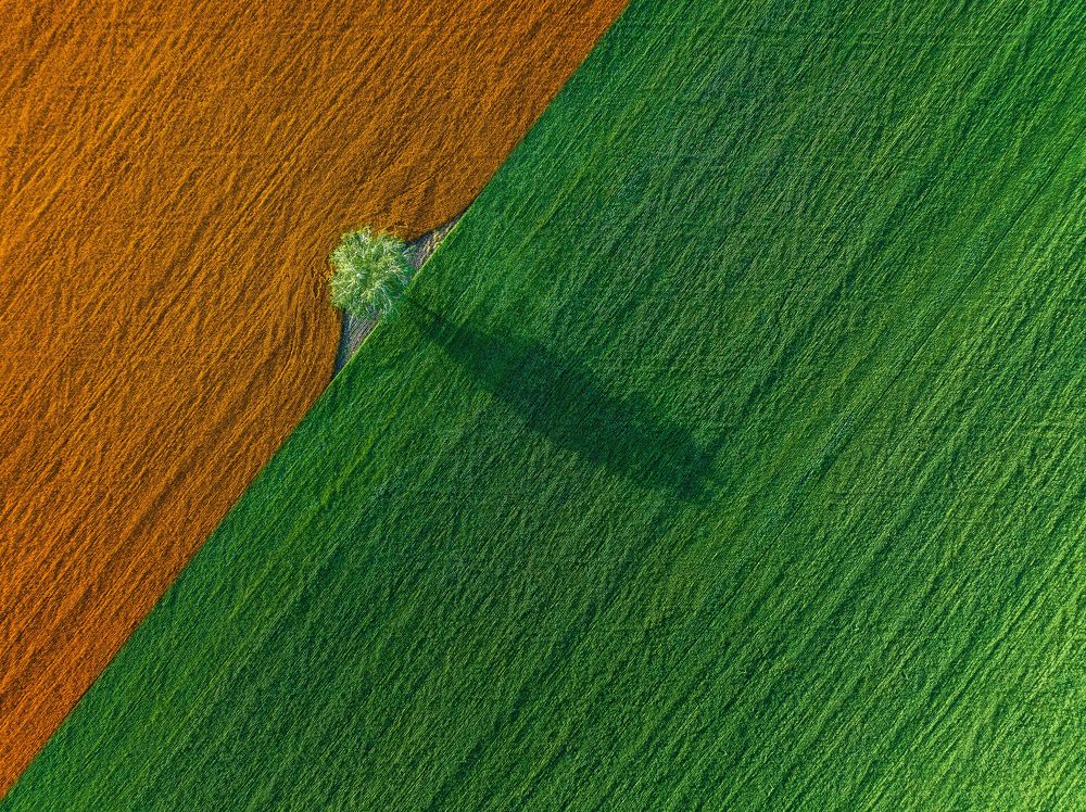 Photograph by Брытков Николай