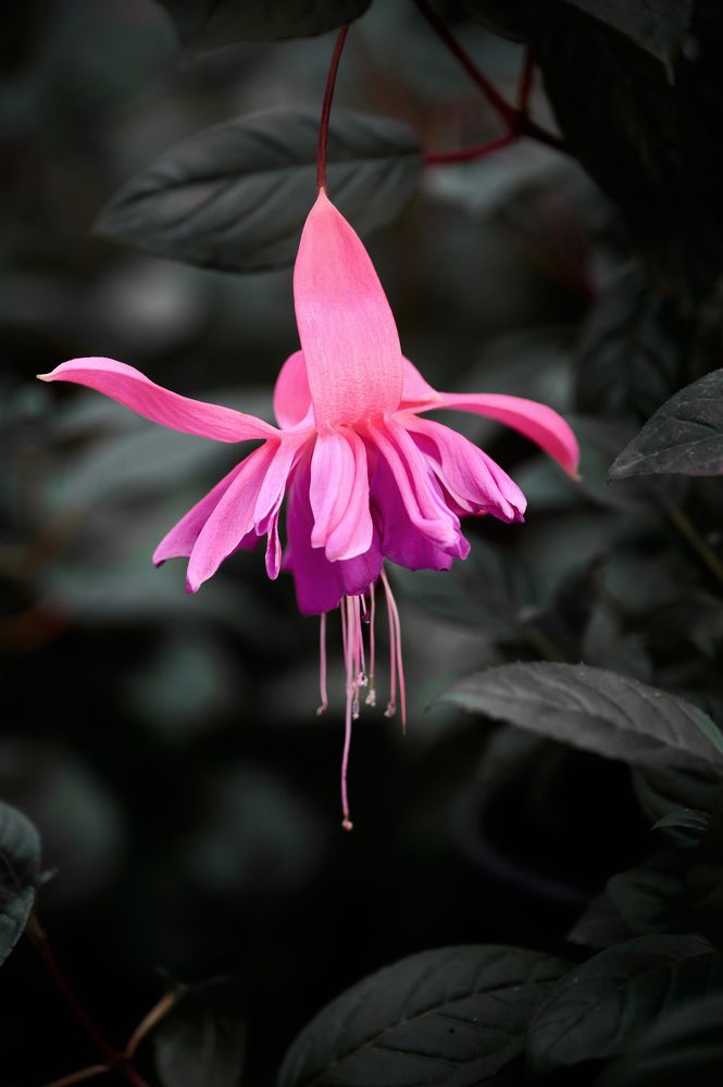 Photograph by Самосудов Рустам