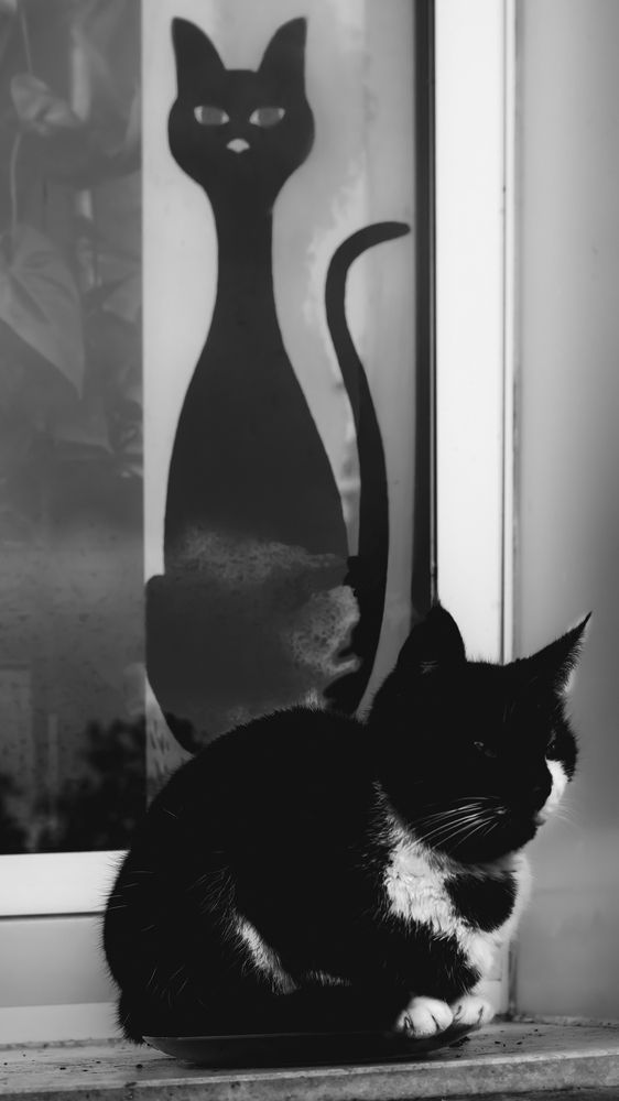 Photograph by Luca Menotti