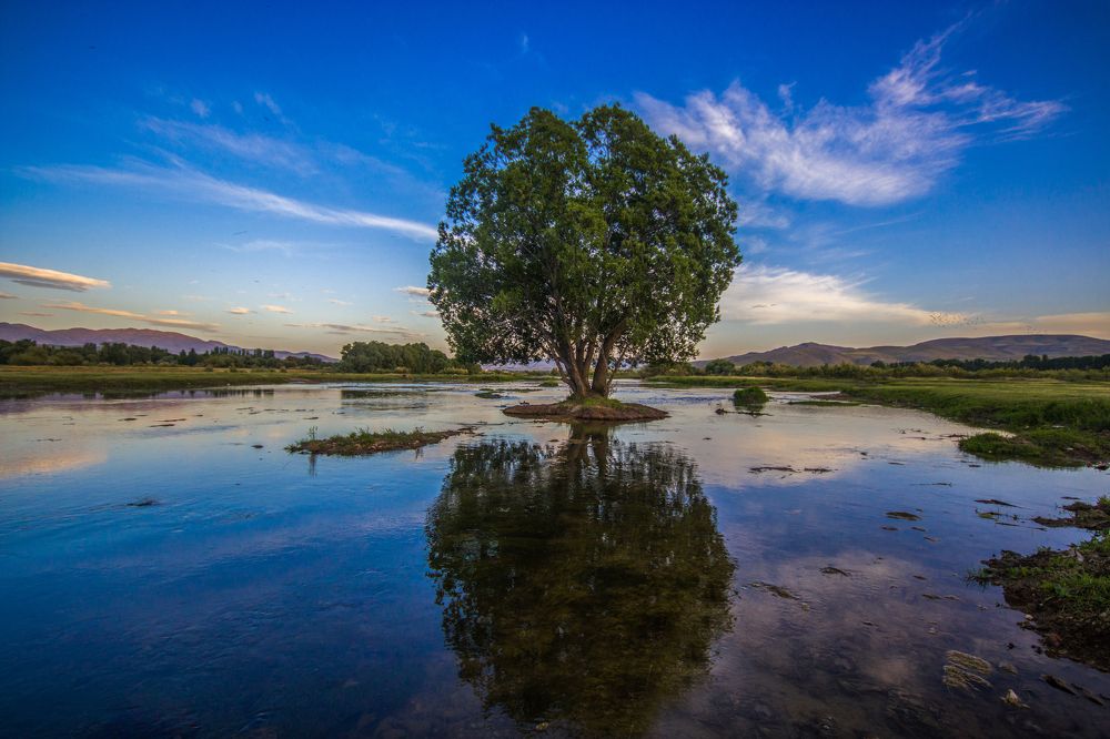 Photograph by Mahdi vagahri shorche
