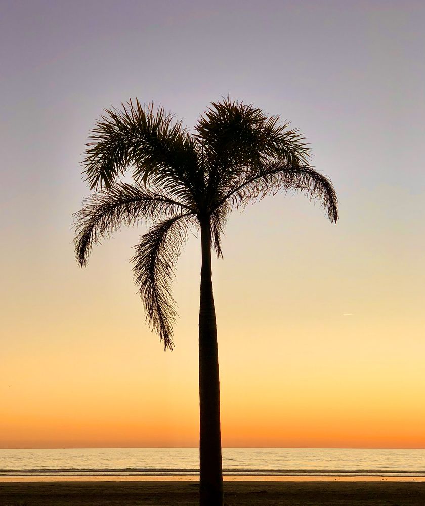 Фотография автора Gibrán Ramos