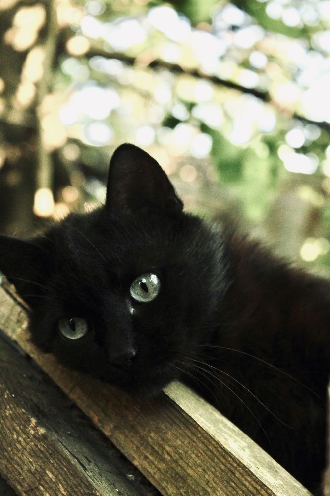 Photograph by Анна Бухарина