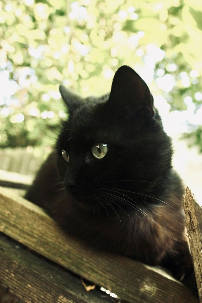 Photograph by Анна Бухарина