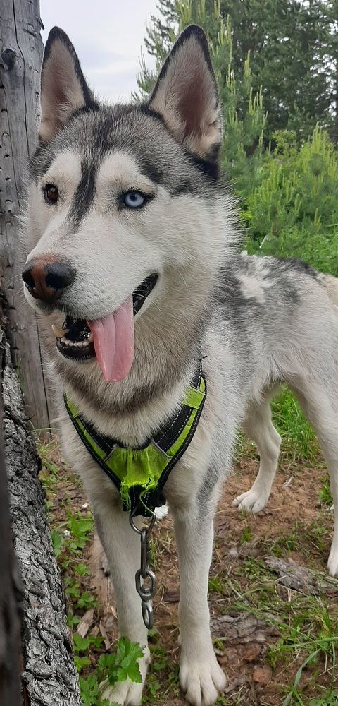 Photograph by Мария