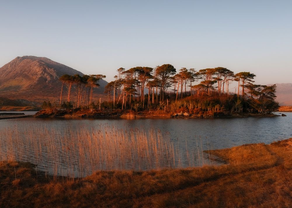 Фотография автора Kanstantsin Markevich