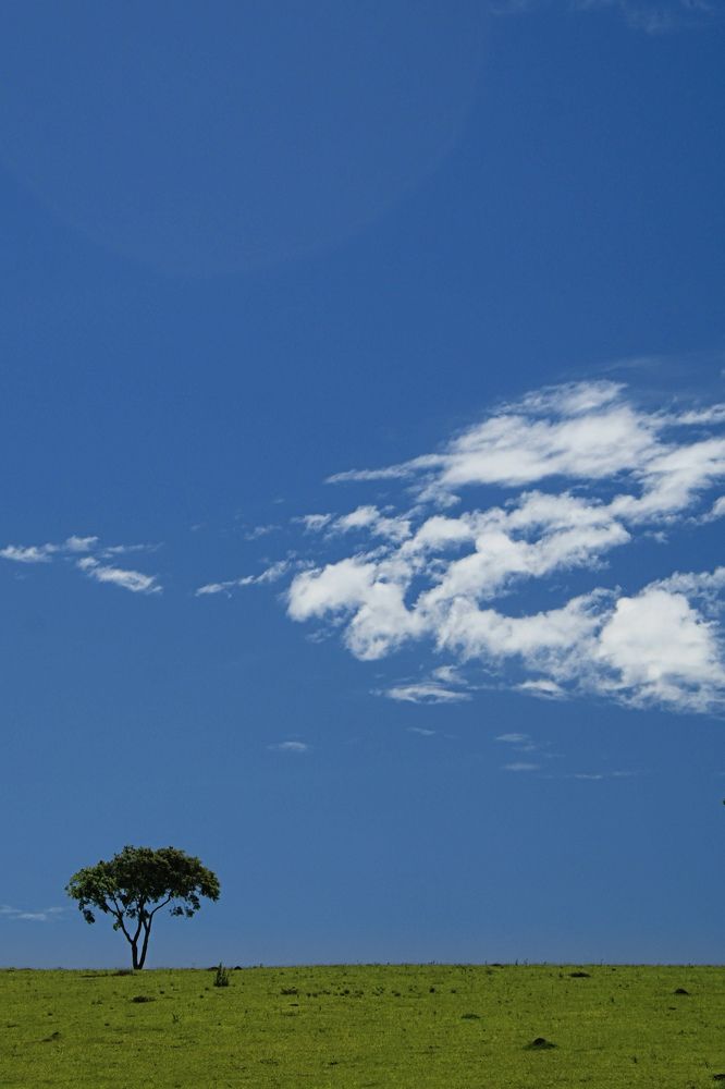 Photograph by FABIANO Manhães