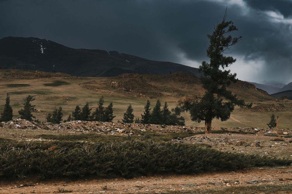 Photograph by Ирина Секачева