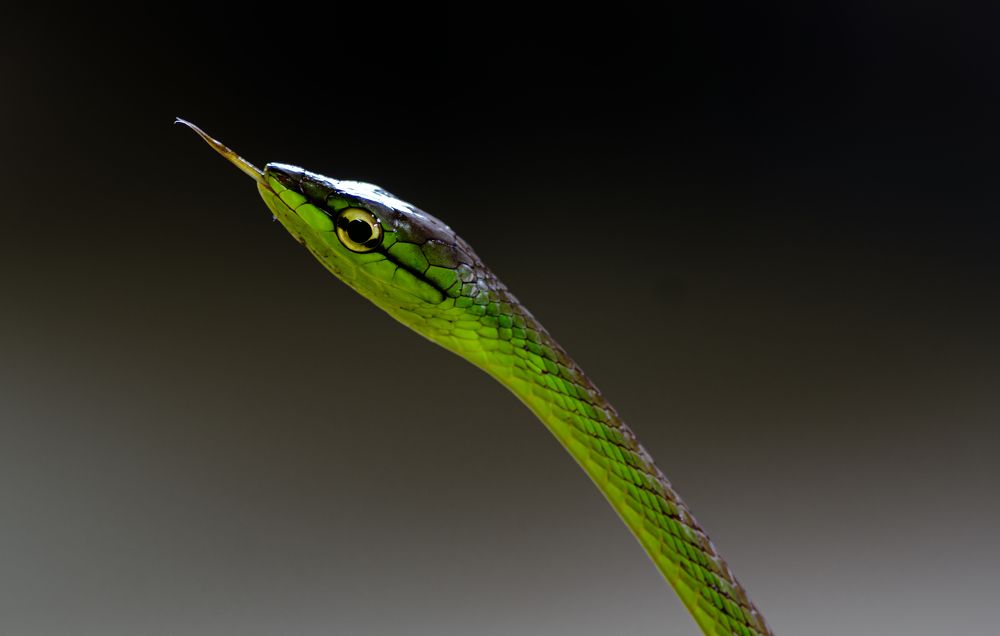 Photograph by Carlos Humberto Rivera Fernandez