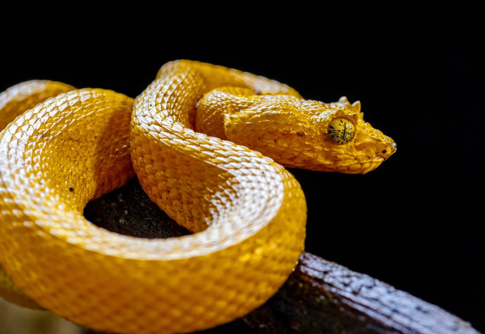 Photograph by Carlos Humberto Rivera Fernandez