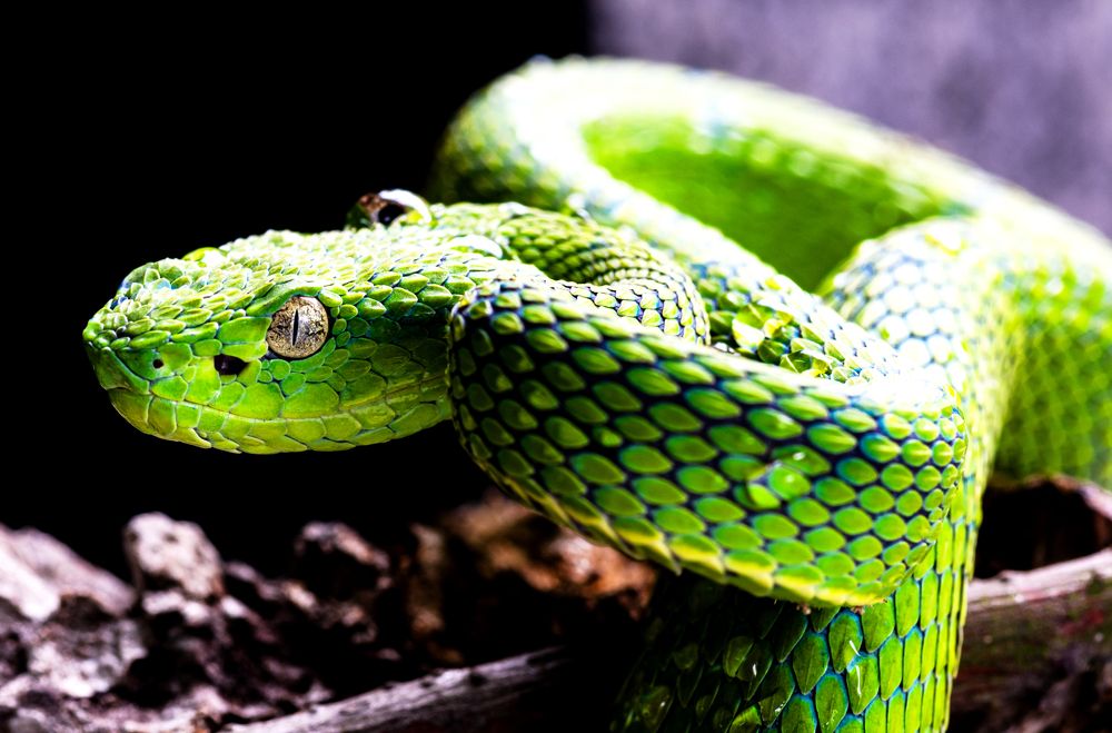 Photograph by Carlos Humberto Rivera Fernandez