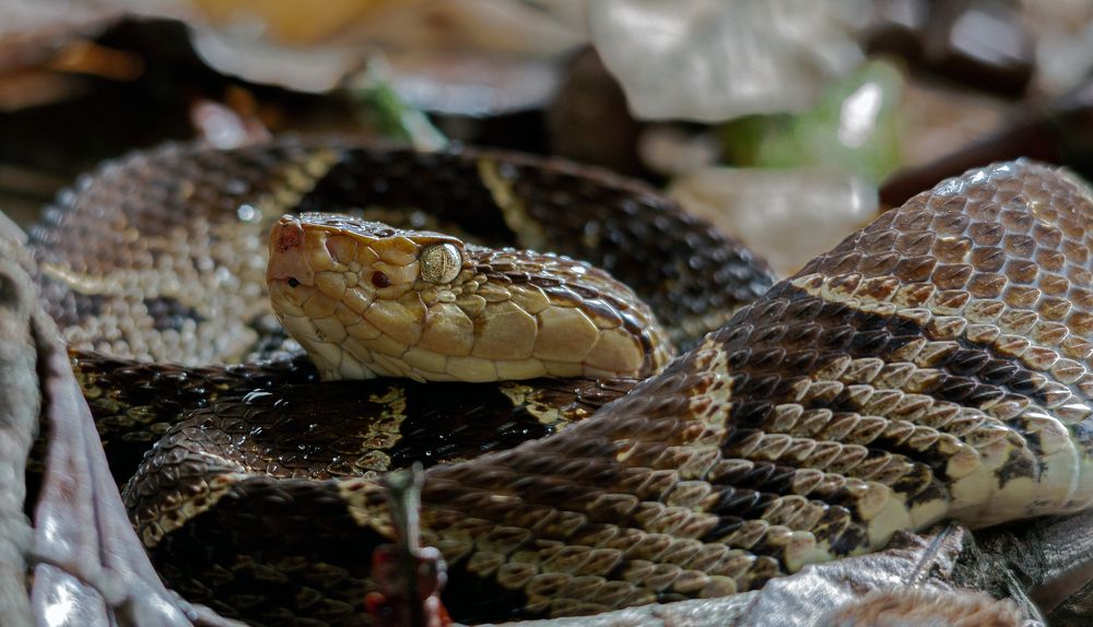 Photograph by Carlos Humberto Rivera Fernandez