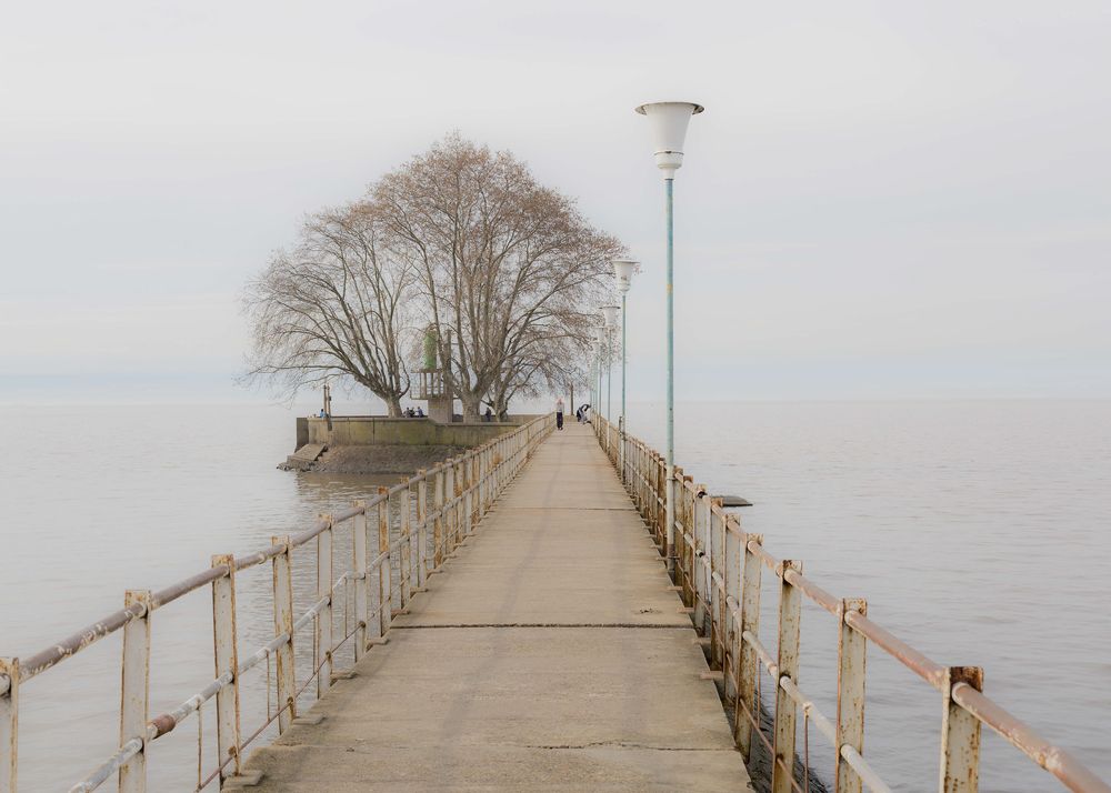 Фотография автора Carlos Gianoli