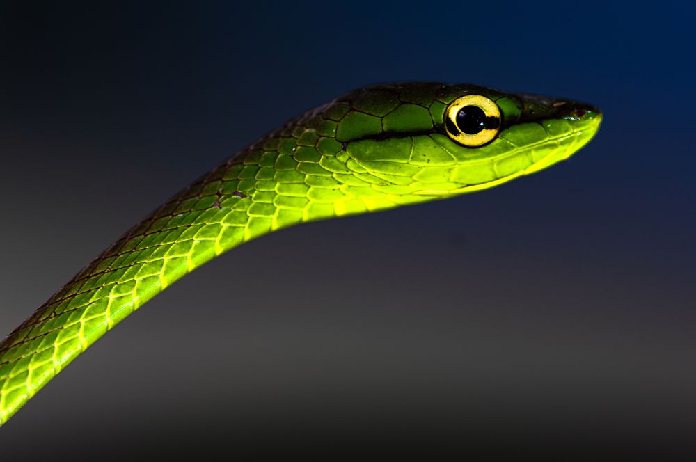 Photograph by Carlos Humberto Rivera Fernandez