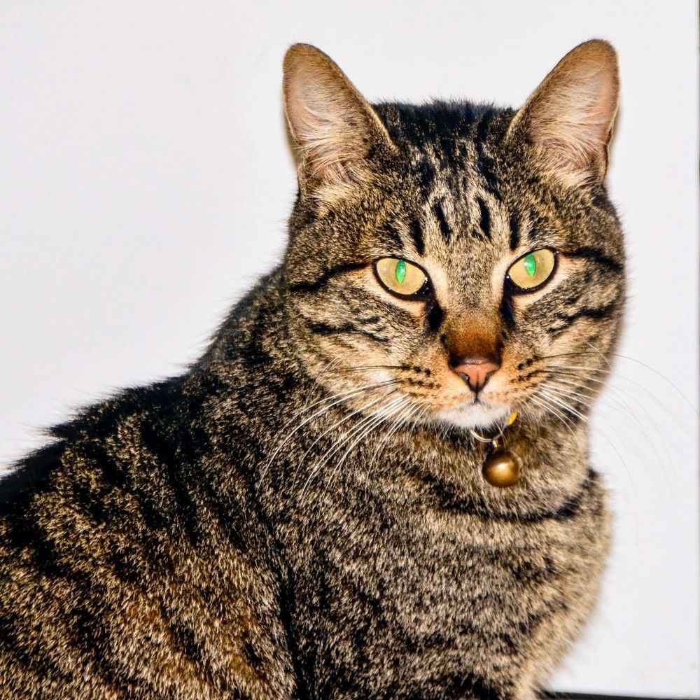 Photograph by Maria Teresa Teixeira de Sousa