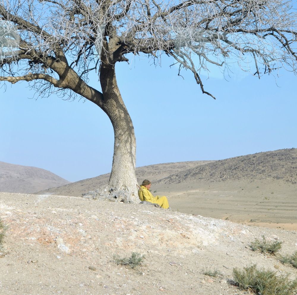 Photograph by Maria Teresa Teixeira de Sousa