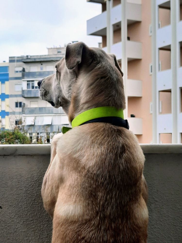 Photograph by Maria Teresa Teixeira de Sousa