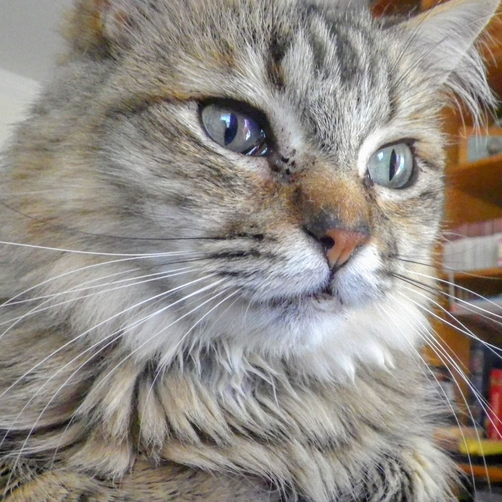 Photograph by Maria Teresa Teixeira de Sousa