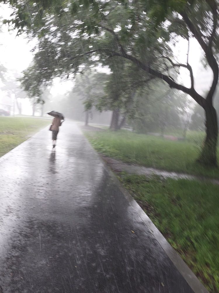 Photograph by Елена Тимченко