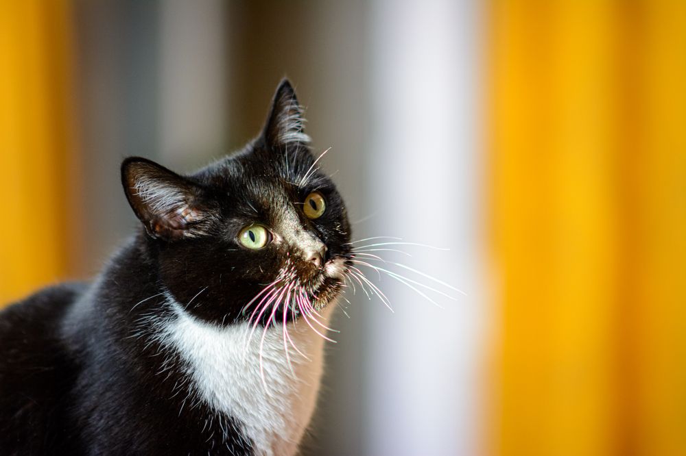 Photograph by Елена Берсенёва