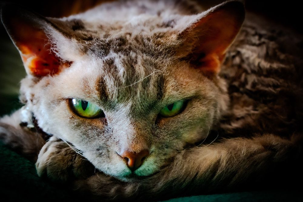 Photograph by Владимир Сушкин