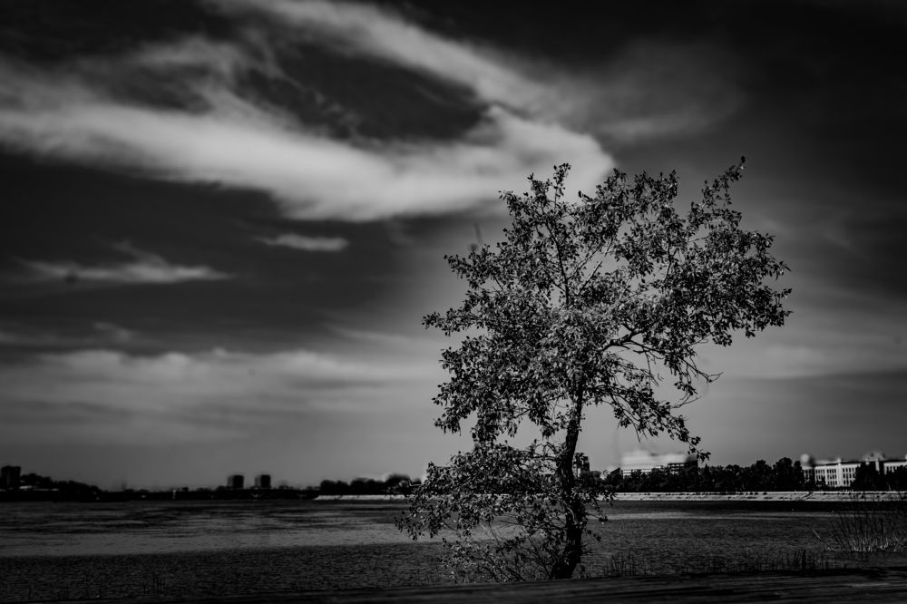 Photograph by Владимир Сушкин