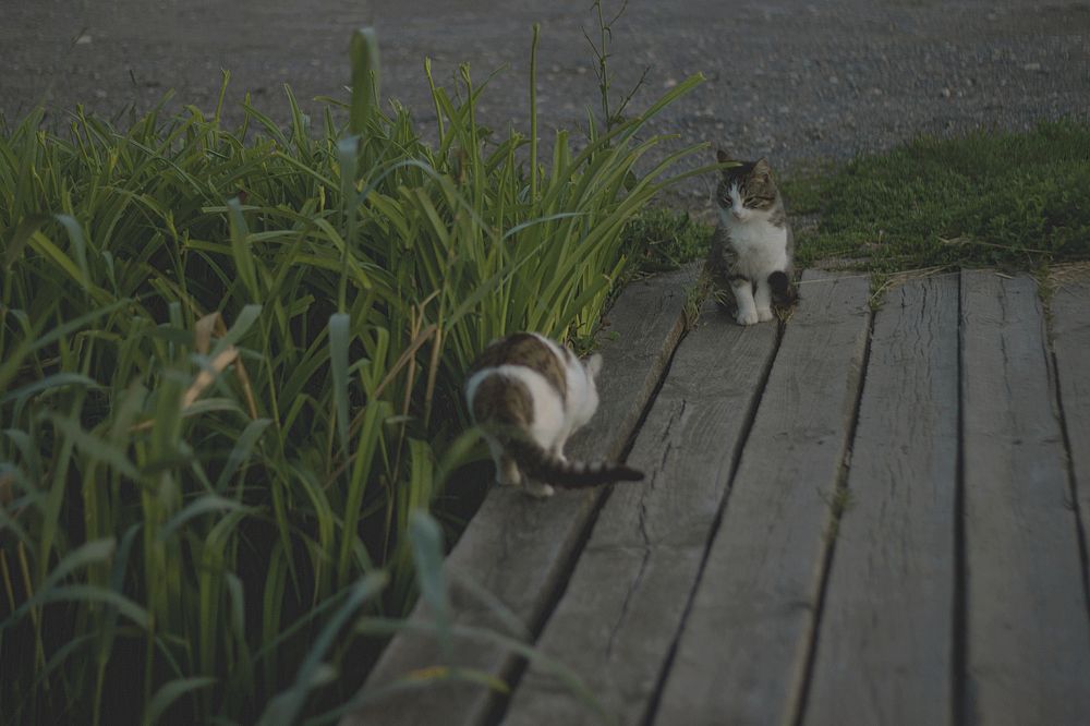 Photograph by Иван Левин