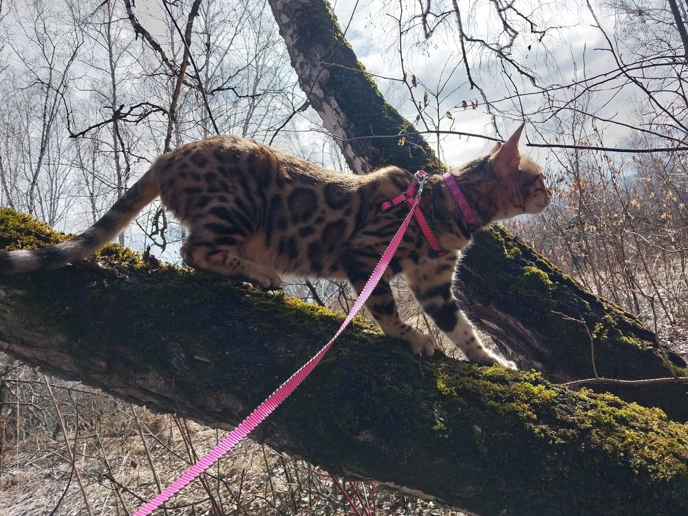 Photograph by Юлия Фирман