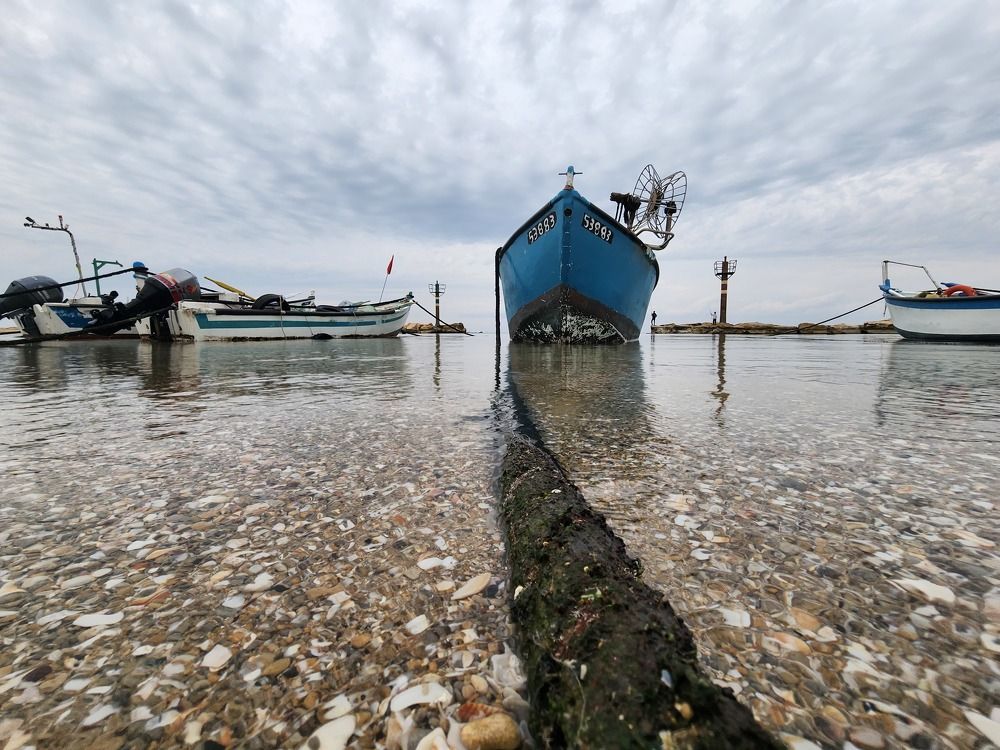 Photograph by esti lahat