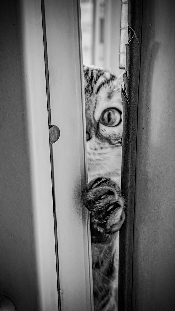 Photograph by Ольга Кондакова