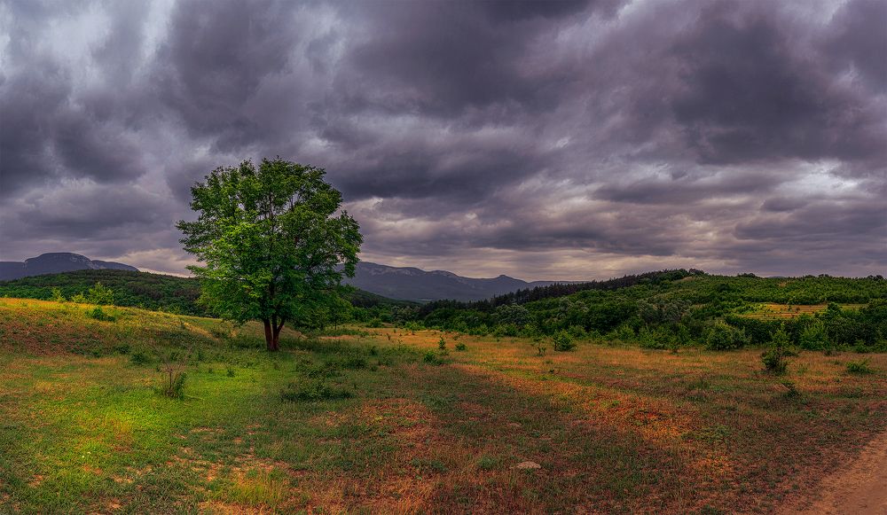 Photograph by Владимир Лысов