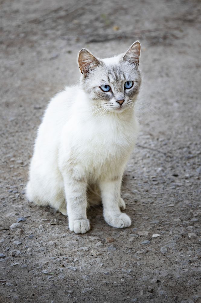 Photograph by Оксана Гриднева