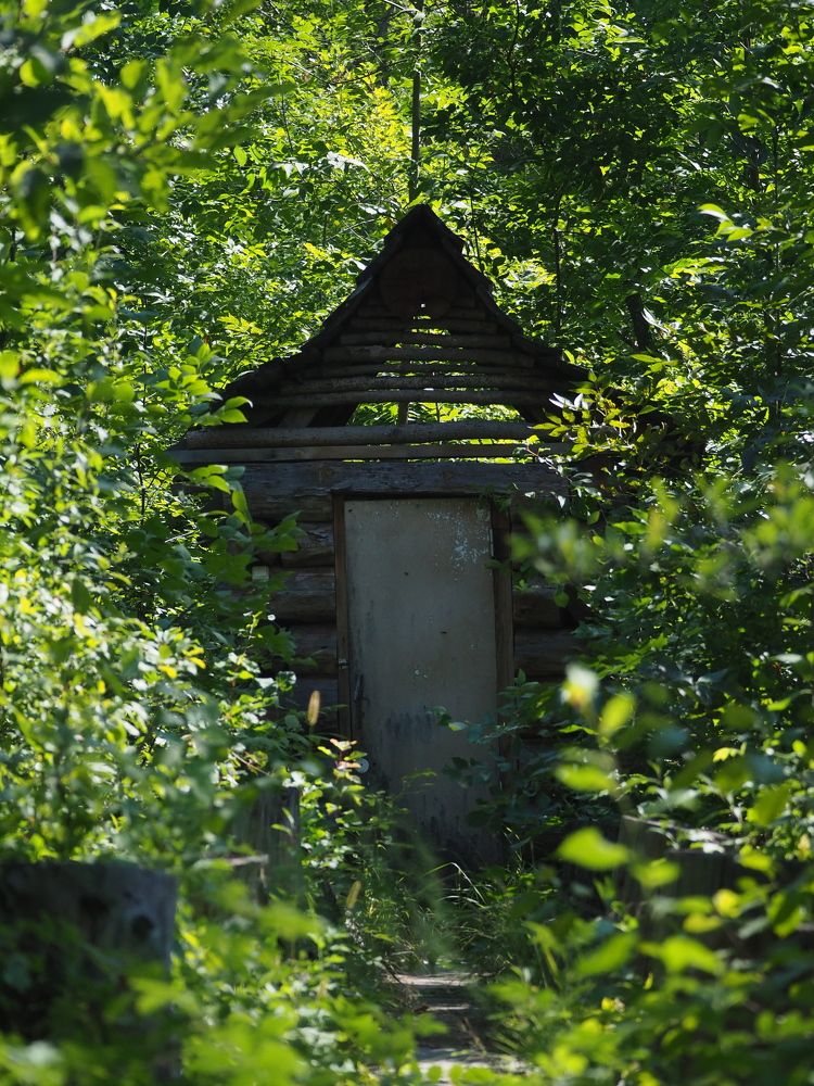 Photograph by Светлана Шибаршина