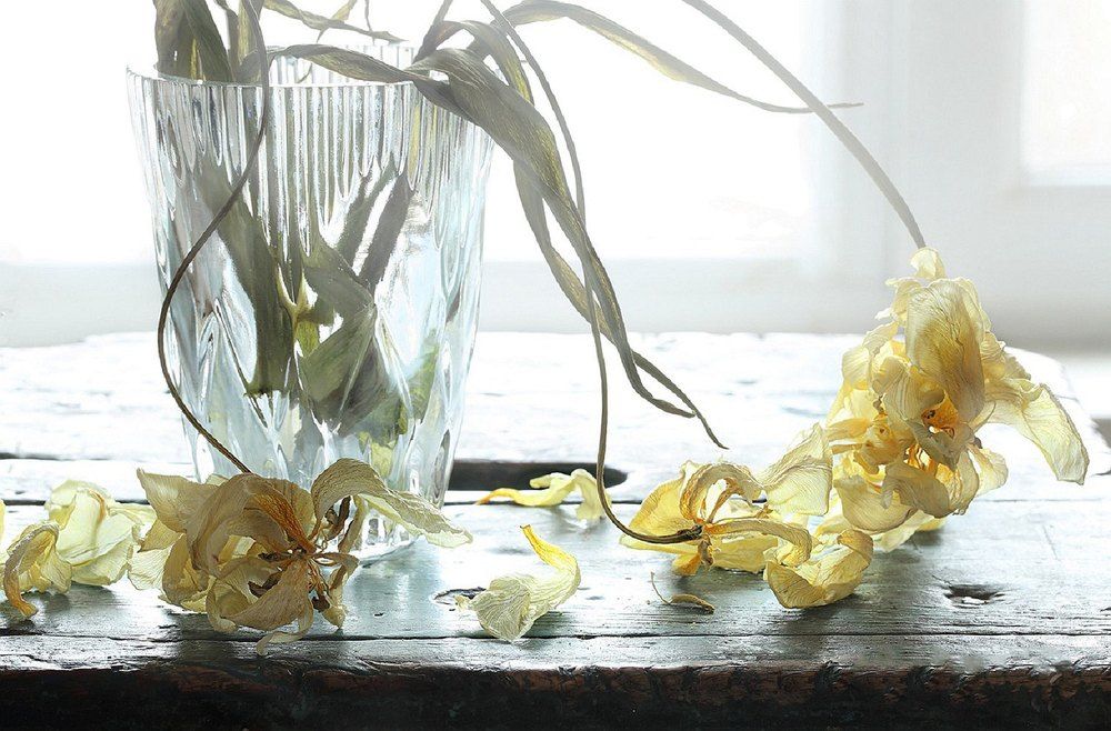 Photograph by Марина Володько