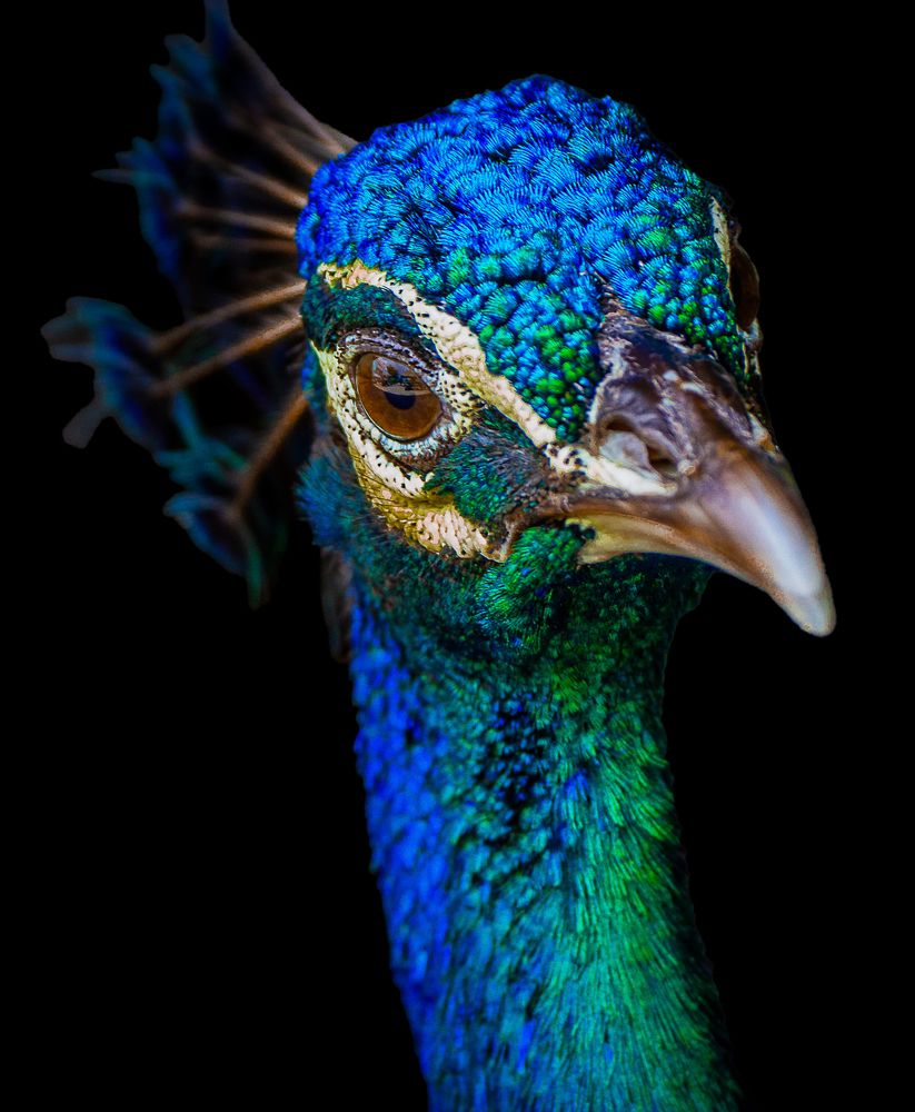 Фотография автора Ethan Williams