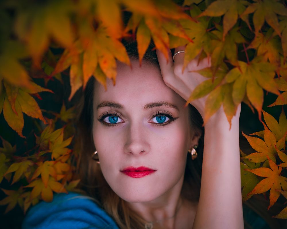 Фотография автора Ankit Gupta