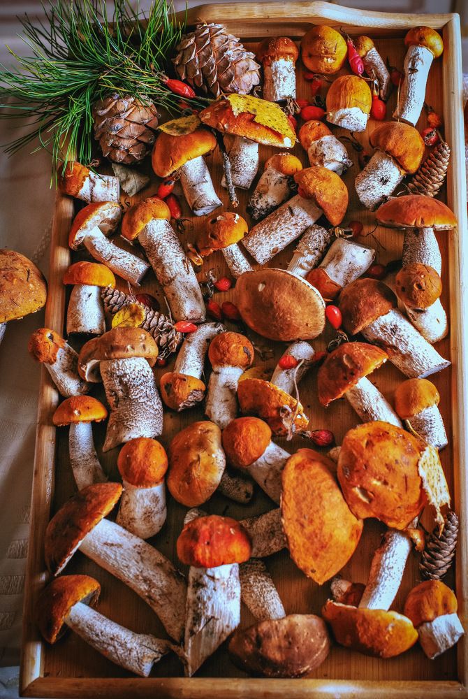 Photograph by Marina Ivanova