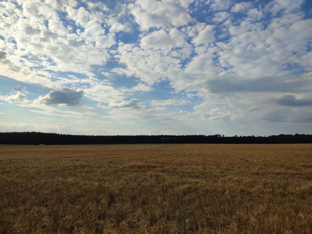 Photograph by Anastasia