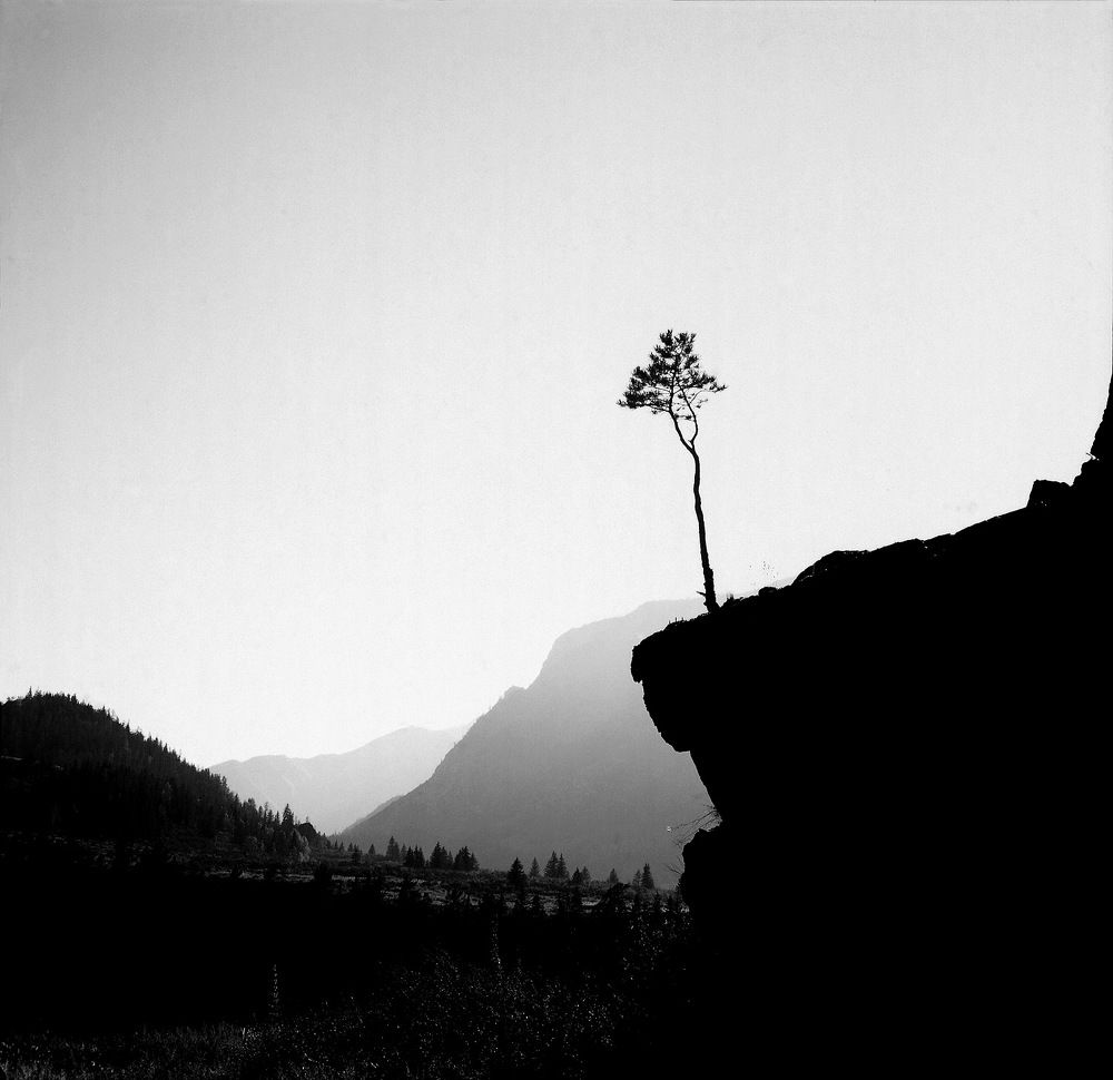 Photograph by Дмитрий Ткаченко