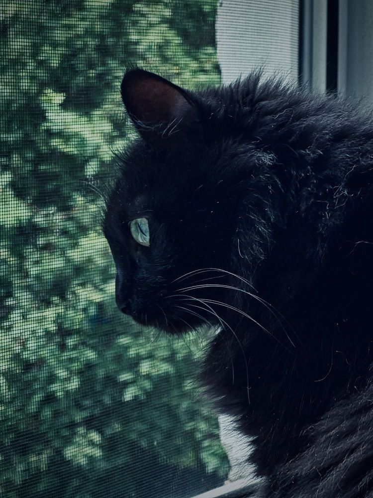 Photograph by Ксения Гулькова