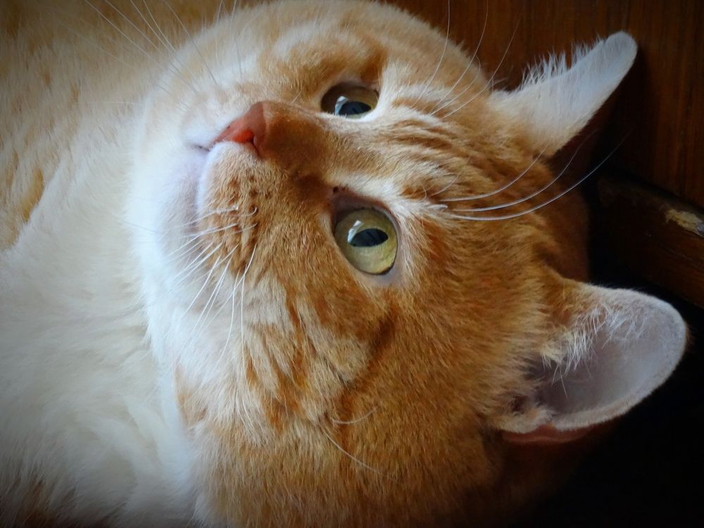 Photograph by Ирина Половцева