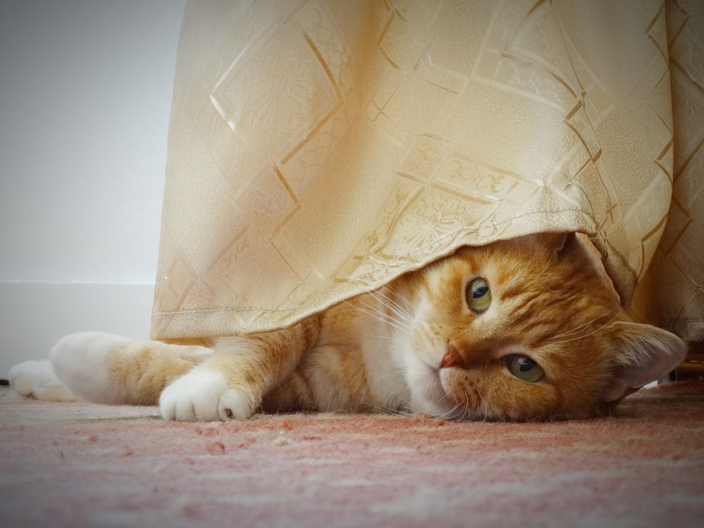 Photograph by Ирина Половцева