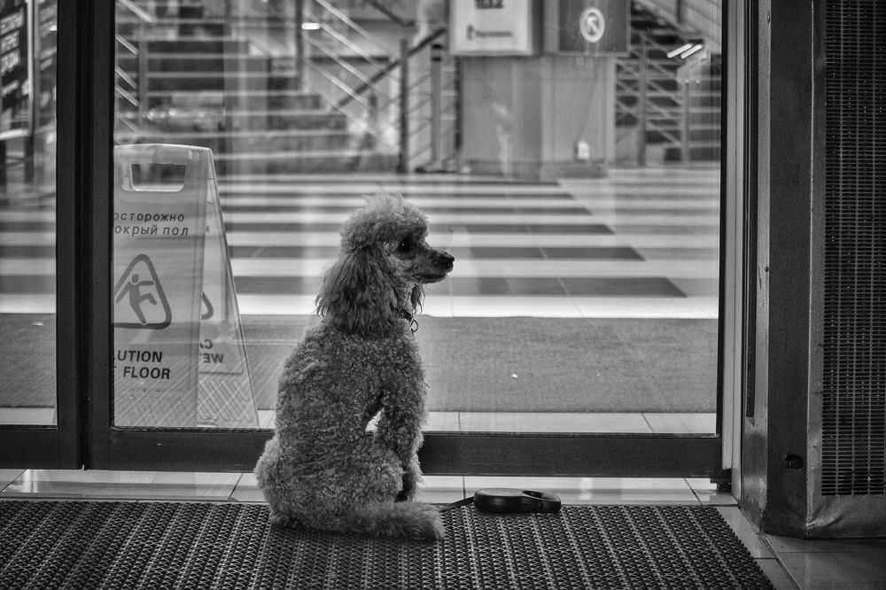 Photograph by Штунь Татьяна